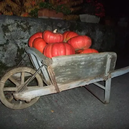 Domaine Du Grand Cellier - Insolite En Savoie *